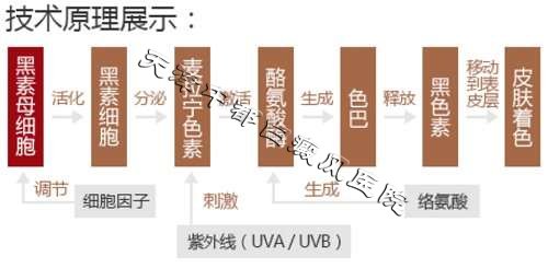 直降500元，白癜風(fēng)優(yōu)惠大檢查
